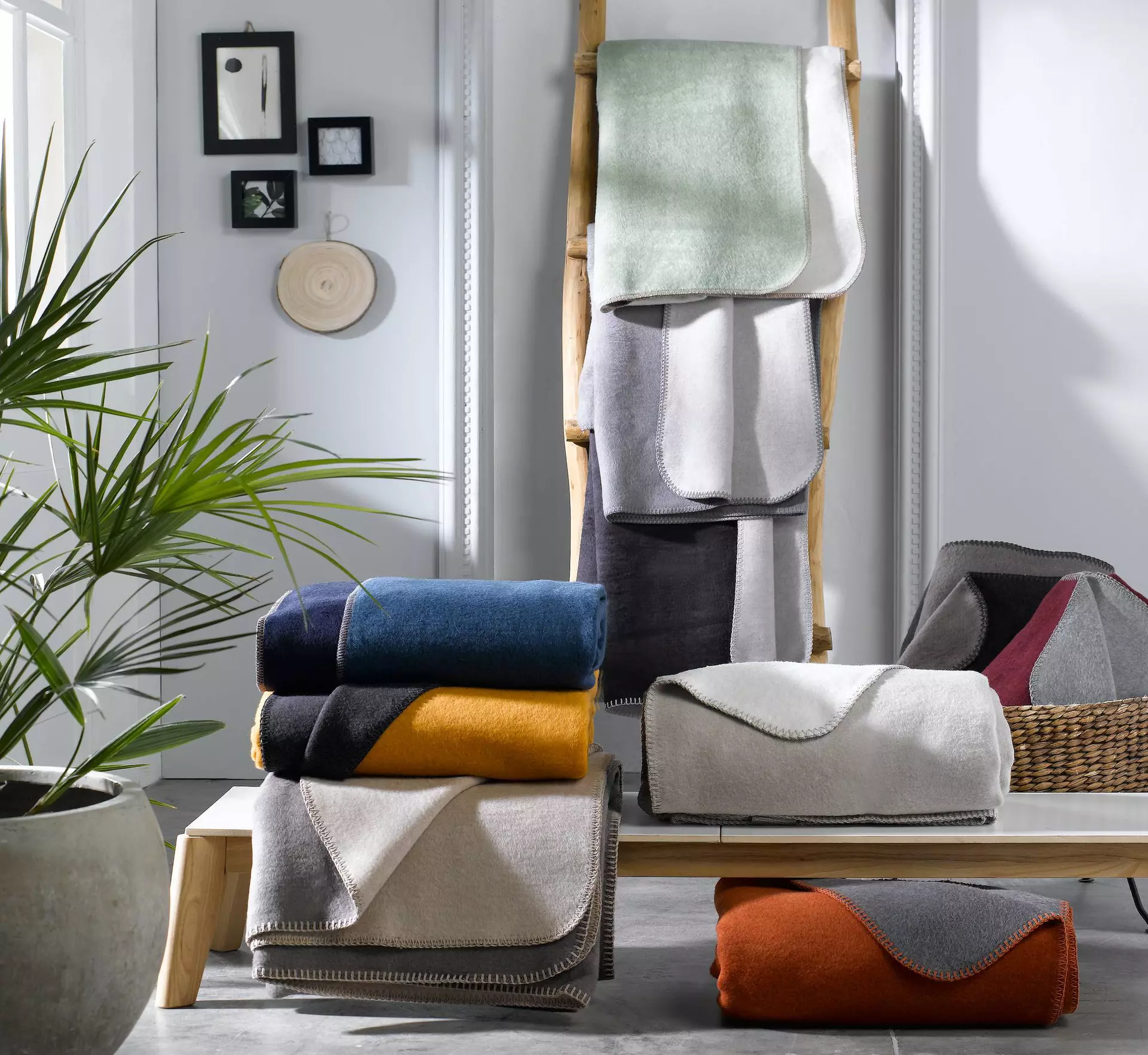 Wohndecke Basic Soft 187261 BIEDERLACK Textil 150 x 200 cm