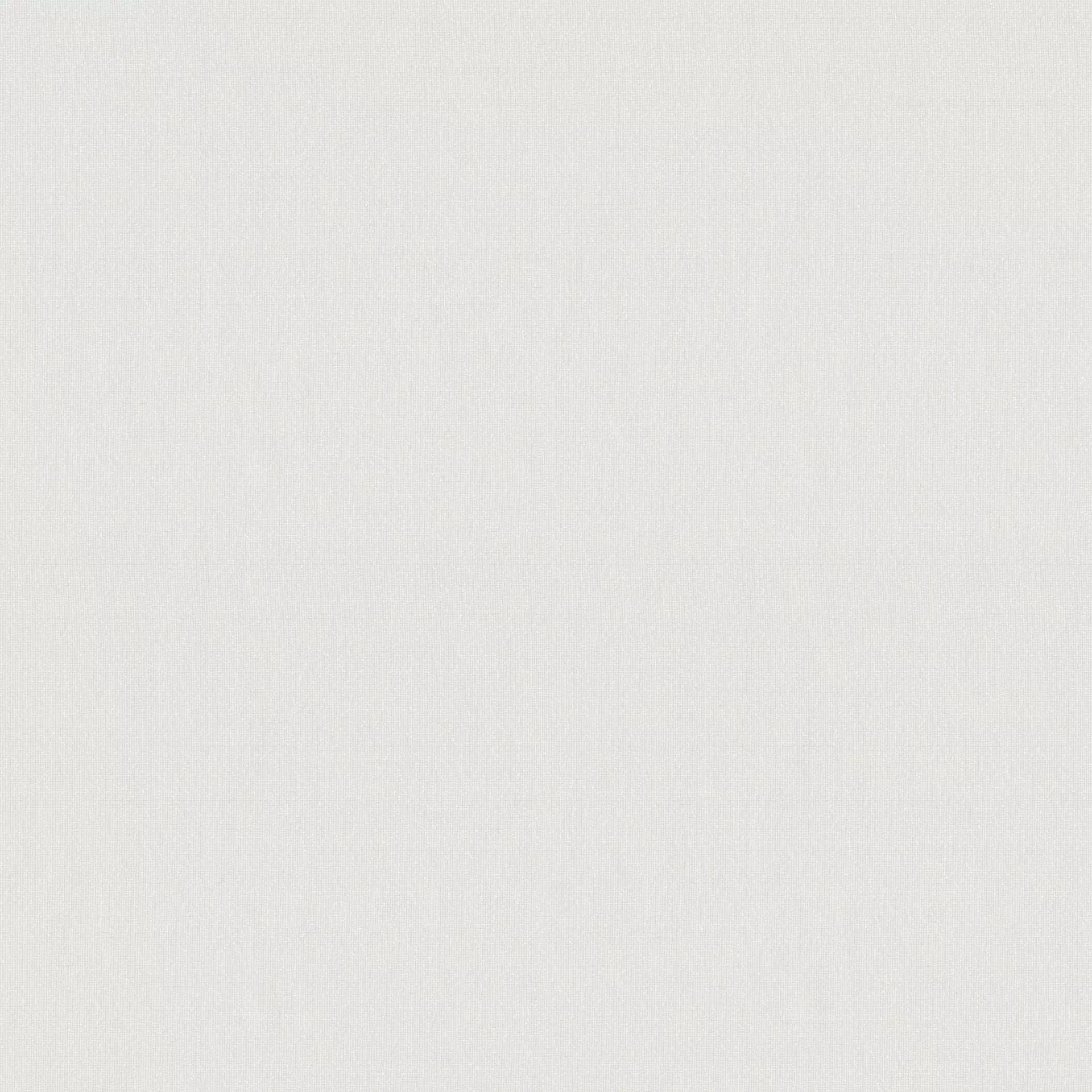 Flächenvorhang ADESSO Neutex for you Textil 60 x 245 cm