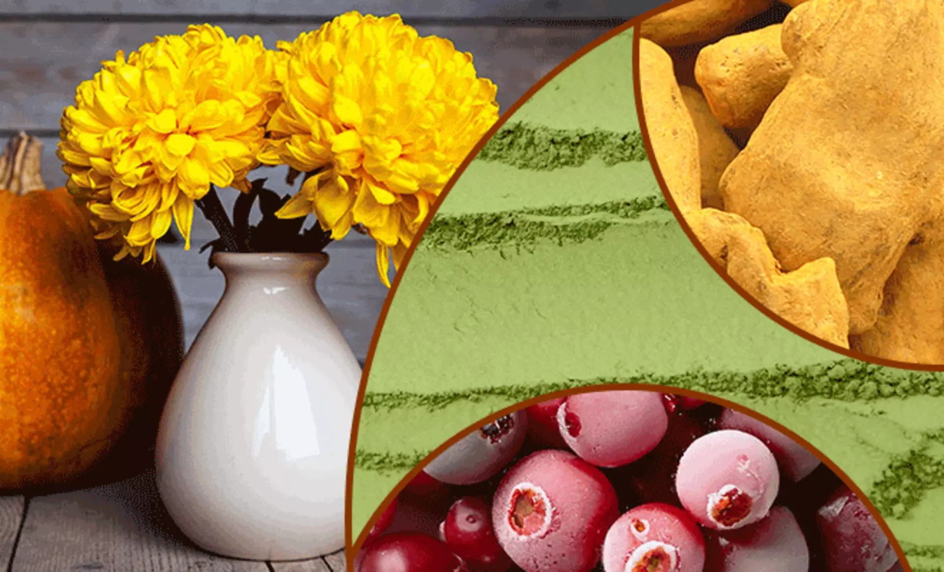 Teaserbild zum Wohntrend Herbstfarben 