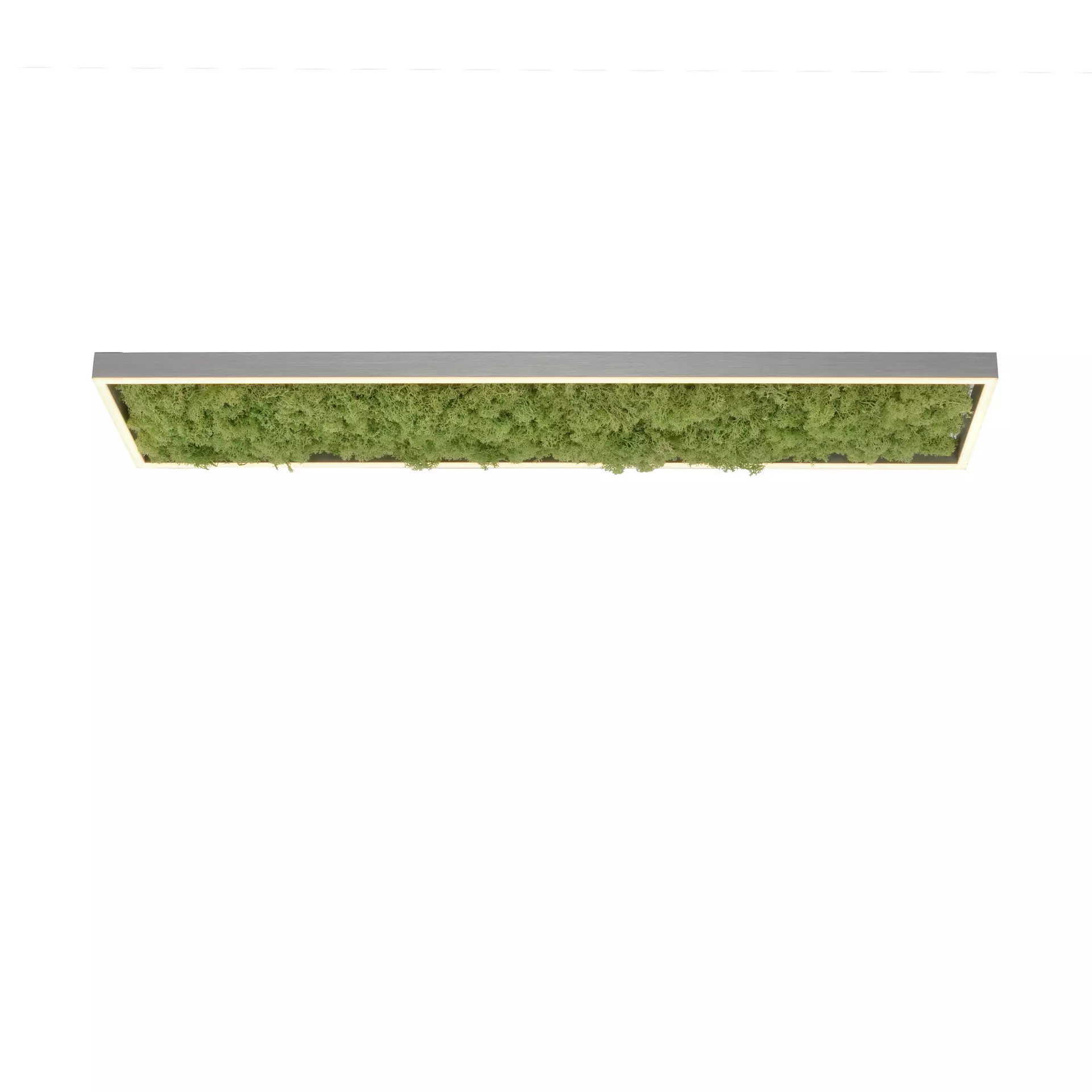 Deckenleuchte GREEN KNUT JUST LIGHT Naturmaterialien 100 x 5 x 25 cm